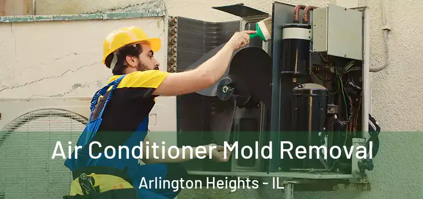  Air Conditioner Mold Removal Arlington Heights - IL