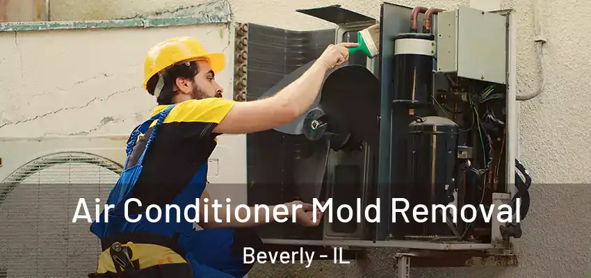  Air Conditioner Mold Removal Beverly - IL