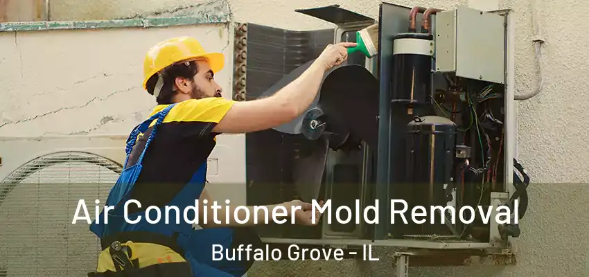  Air Conditioner Mold Removal Buffalo Grove - IL