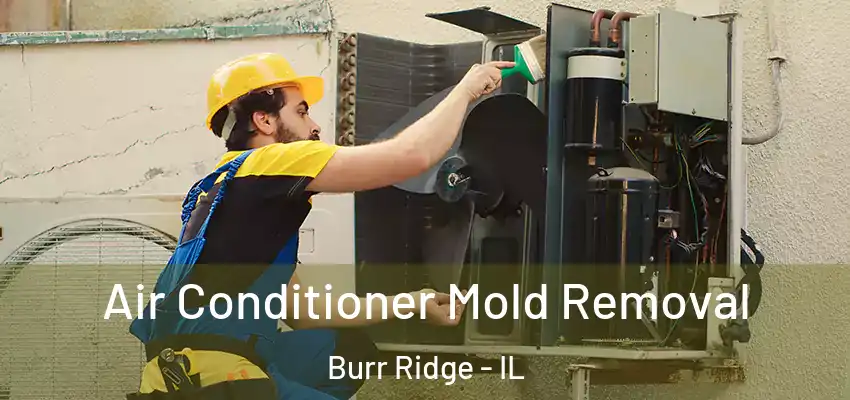 Air Conditioner Mold Removal Burr Ridge - IL