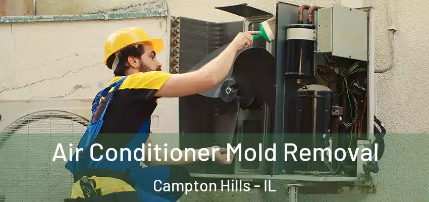 Air Conditioner Mold Removal Campton Hills - IL