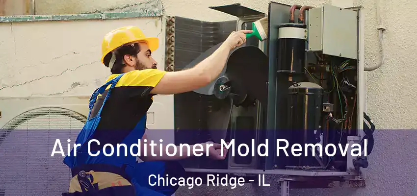  Air Conditioner Mold Removal Chicago Ridge - IL
