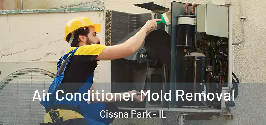  Air Conditioner Mold Removal Cissna Park - IL