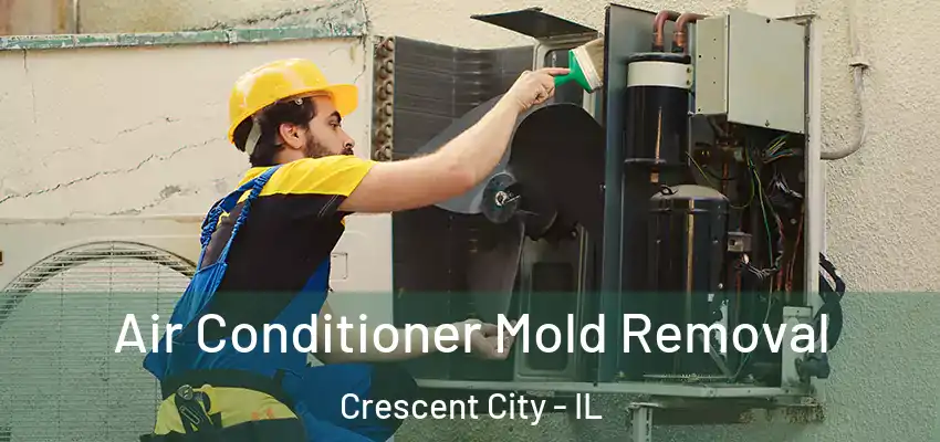 Air Conditioner Mold Removal Crescent City - IL