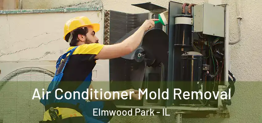 Air Conditioner Mold Removal Elmwood Park - IL