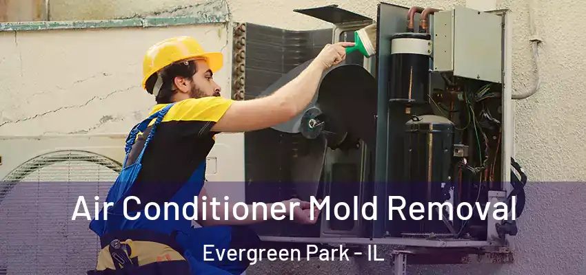 Air Conditioner Mold Removal Evergreen Park - IL