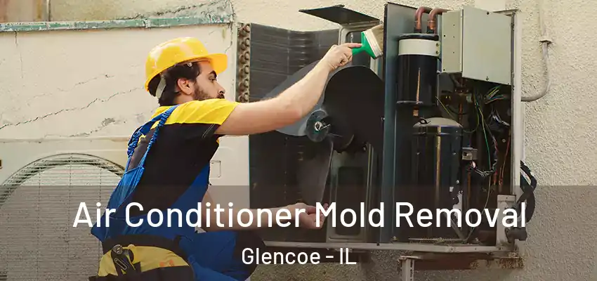 Air Conditioner Mold Removal Glencoe - IL