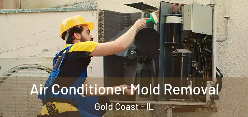 Air Conditioner Mold Removal Gold Coast - IL