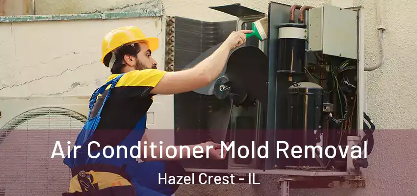 Air Conditioner Mold Removal Hazel Crest - IL