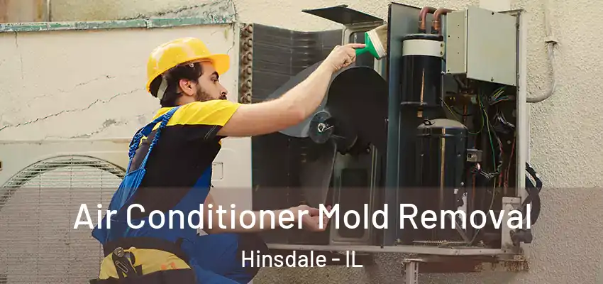  Air Conditioner Mold Removal Hinsdale - IL