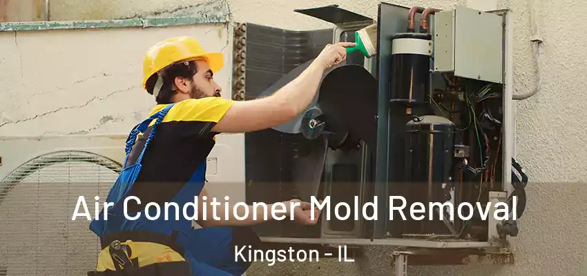  Air Conditioner Mold Removal Kingston - IL