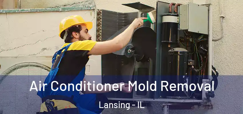 Air Conditioner Mold Removal Lansing - IL