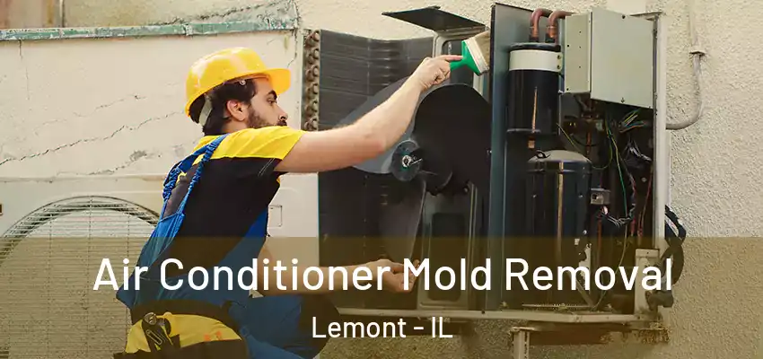 Air Conditioner Mold Removal Lemont - IL