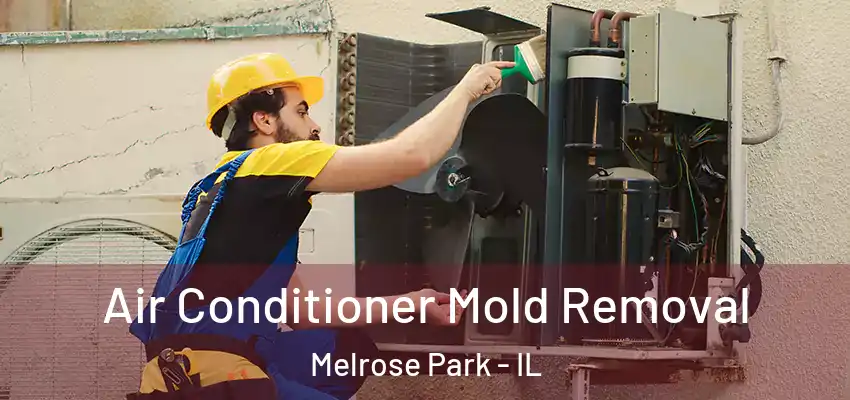 Air Conditioner Mold Removal Melrose Park - IL