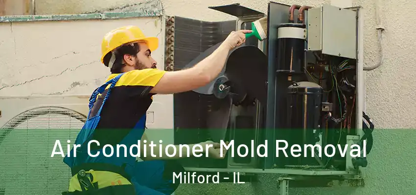 Air Conditioner Mold Removal Milford - IL