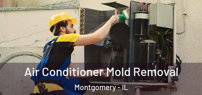 Air Conditioner Mold Removal Montgomery - IL