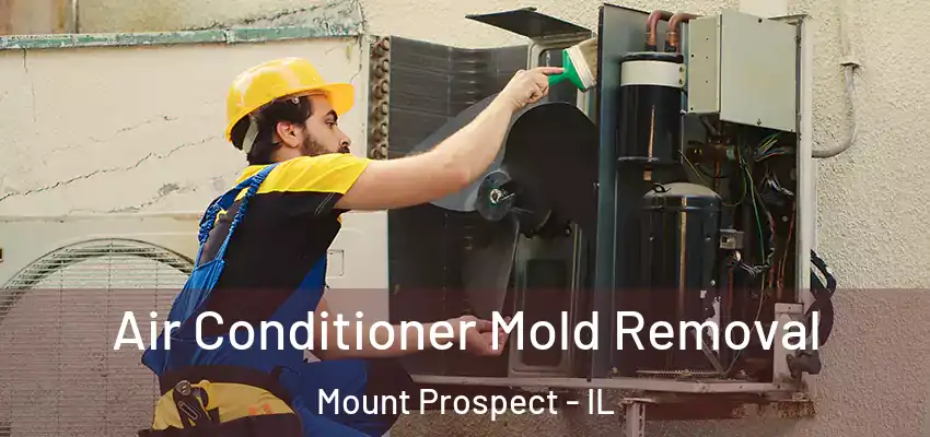 Air Conditioner Mold Removal Mount Prospect - IL