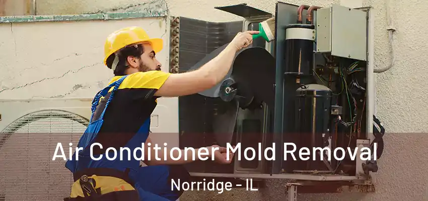 Air Conditioner Mold Removal Norridge - IL