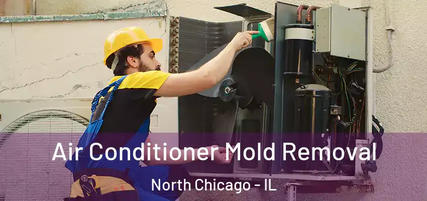 Air Conditioner Mold Removal North Chicago - IL