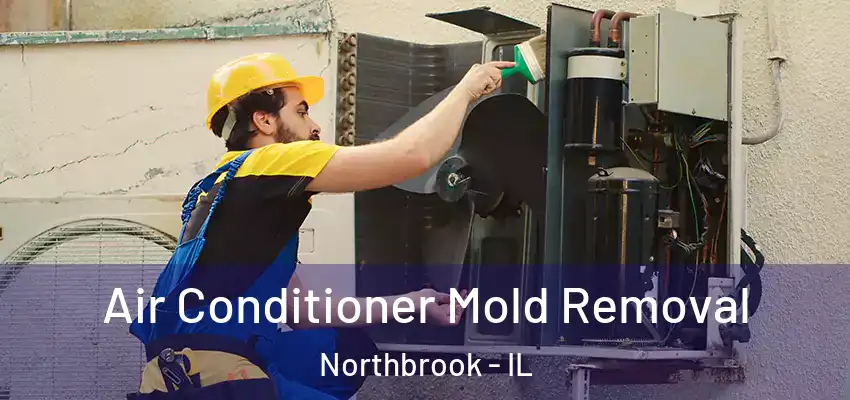 Air Conditioner Mold Removal Northbrook - IL