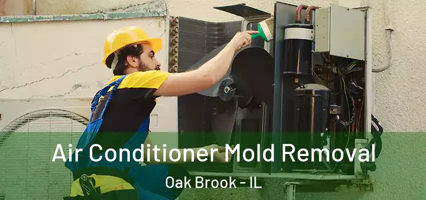 Air Conditioner Mold Removal Oak Brook - IL