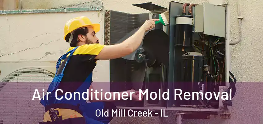  Air Conditioner Mold Removal Old Mill Creek - IL