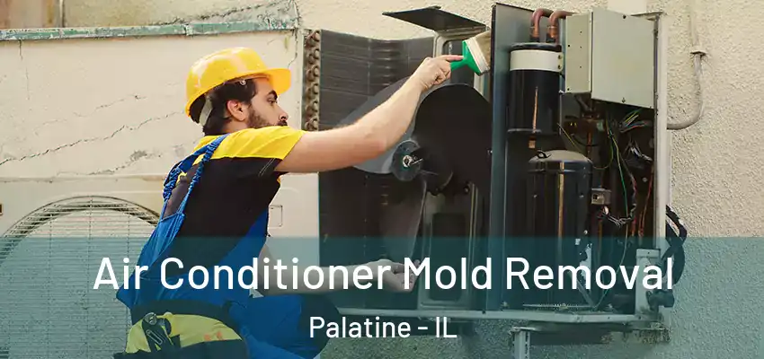 Air Conditioner Mold Removal Palatine - IL