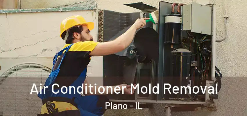 Air Conditioner Mold Removal Plano - IL