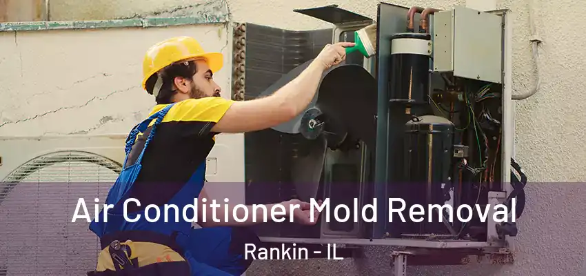 Air Conditioner Mold Removal Rankin - IL