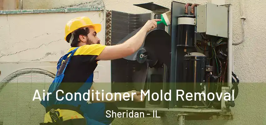 Air Conditioner Mold Removal Sheridan - IL