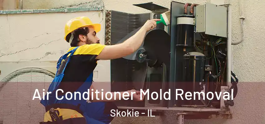  Air Conditioner Mold Removal Skokie - IL