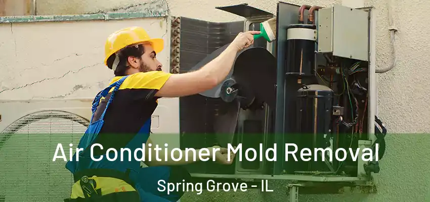 Air Conditioner Mold Removal Spring Grove - IL