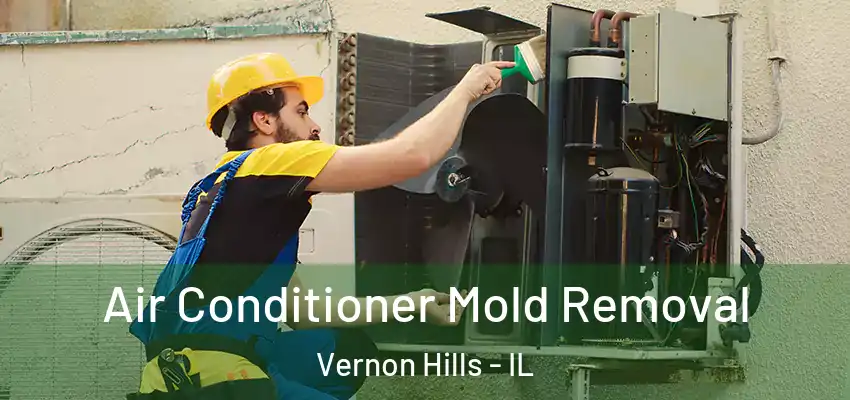 Air Conditioner Mold Removal Vernon Hills - IL