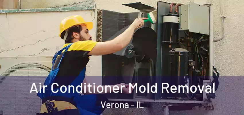 Air Conditioner Mold Removal Verona - IL