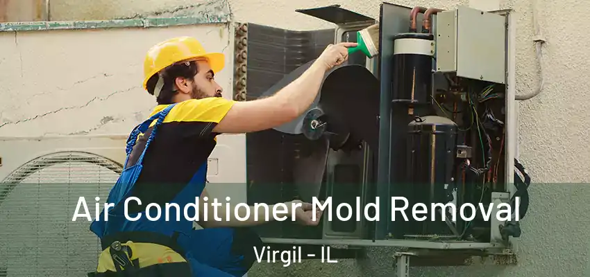 Air Conditioner Mold Removal Virgil - IL