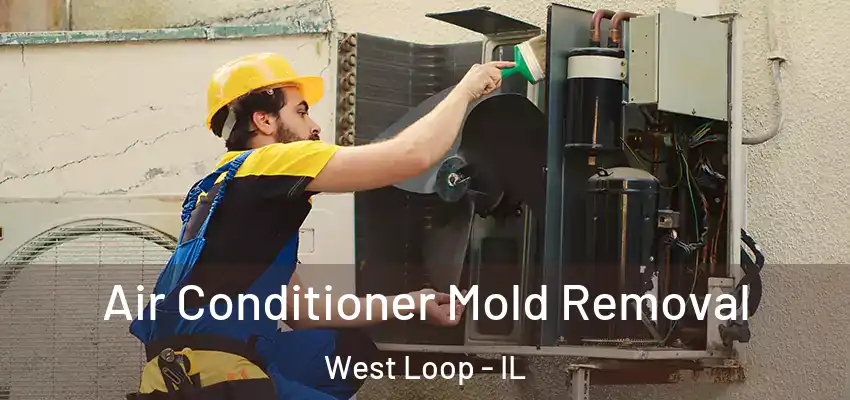 Air Conditioner Mold Removal West Loop - IL