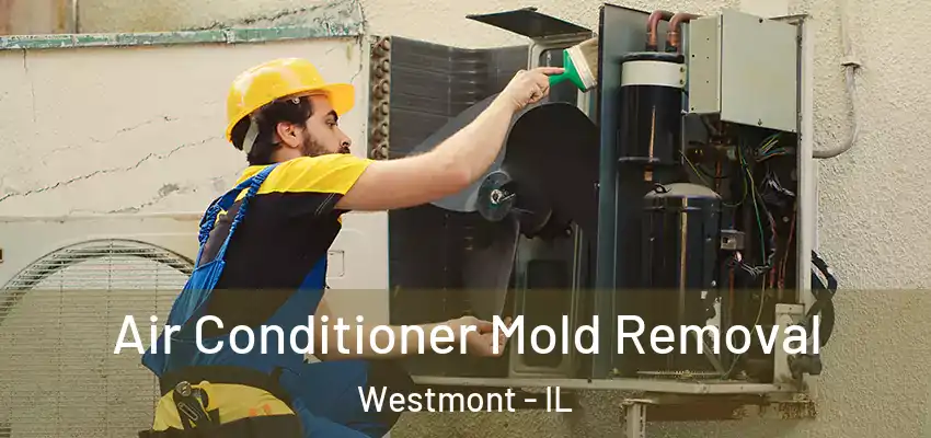 Air Conditioner Mold Removal Westmont - IL