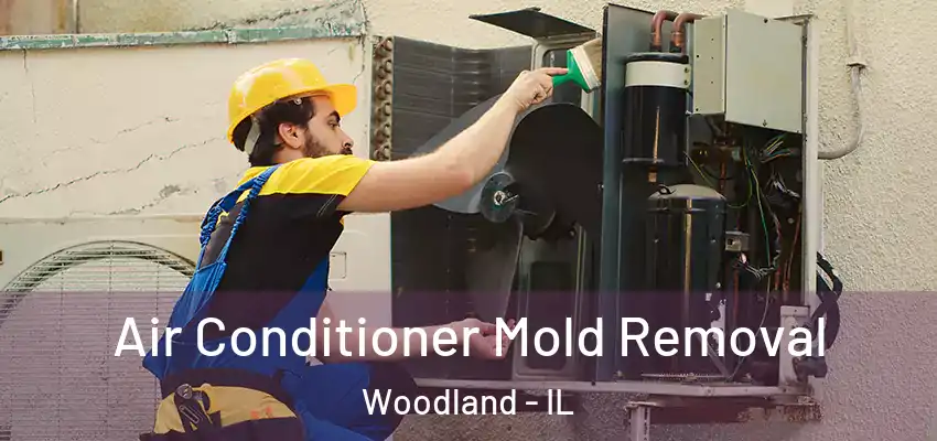 Air Conditioner Mold Removal Woodland - IL