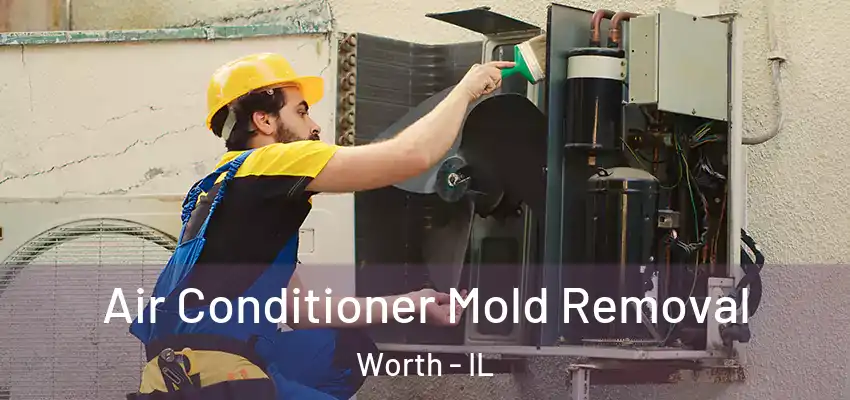  Air Conditioner Mold Removal Worth - IL