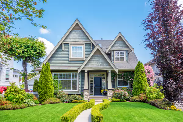 Black Mold Clean Up in Wauconda, IL