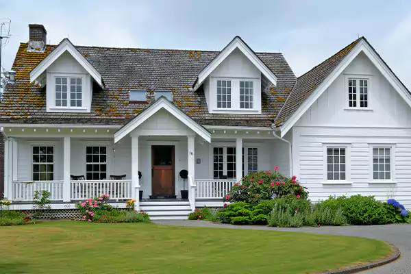 Mold Removal Services in Wauconda, IL