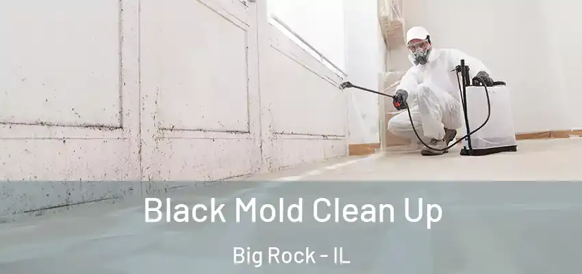  Black Mold Clean Up Big Rock - IL