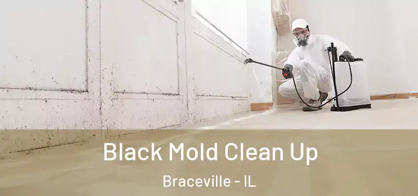  Black Mold Clean Up Braceville - IL