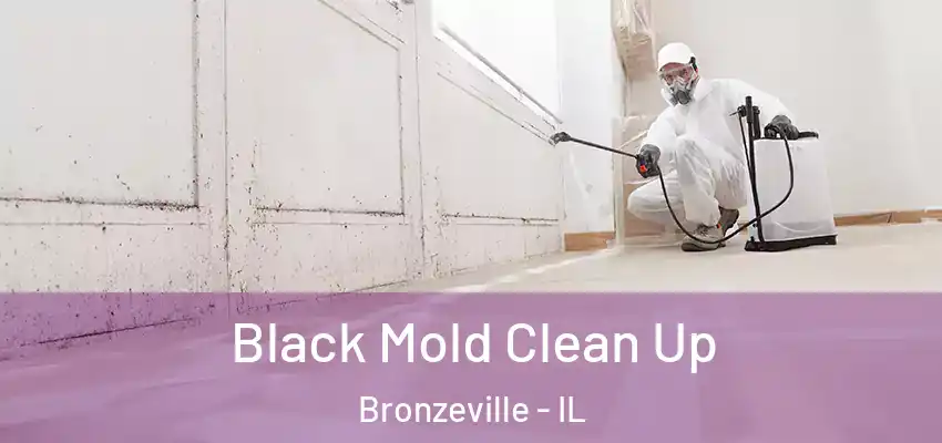 Black Mold Clean Up Bronzeville - IL