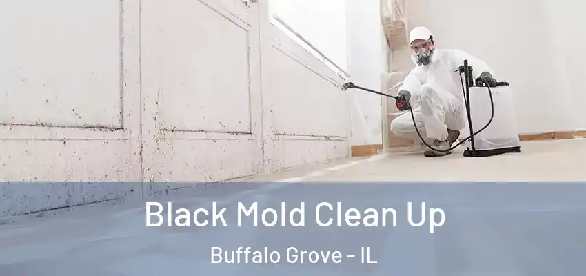  Black Mold Clean Up Buffalo Grove - IL