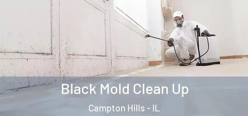 Black Mold Clean Up Campton Hills - IL