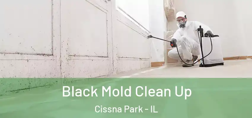 Black Mold Clean Up Cissna Park - IL
