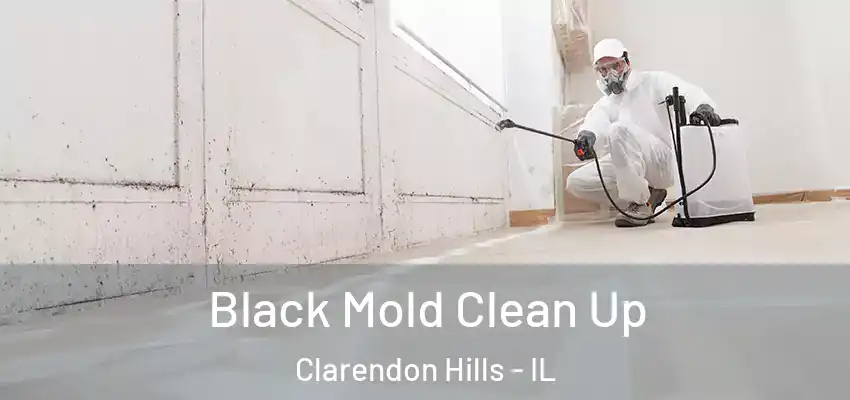  Black Mold Clean Up Clarendon Hills - IL
