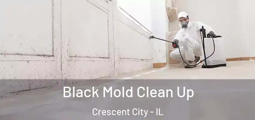  Black Mold Clean Up Crescent City - IL