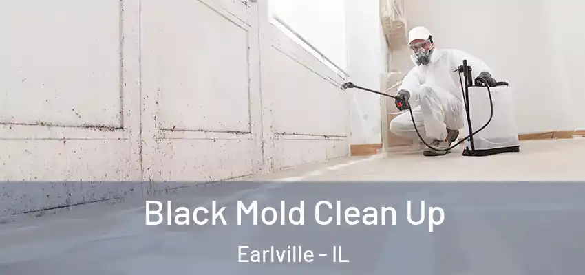 Black Mold Clean Up Earlville - IL